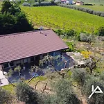 Villa Olive Charme - Immobiliare Azzurra Bardolino