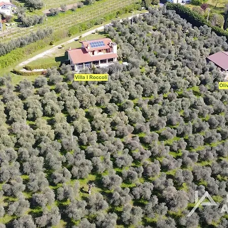 Olive Charme - Immobiliare Azzurra