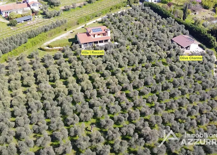 Olive Charme - Immobiliare Azzurra