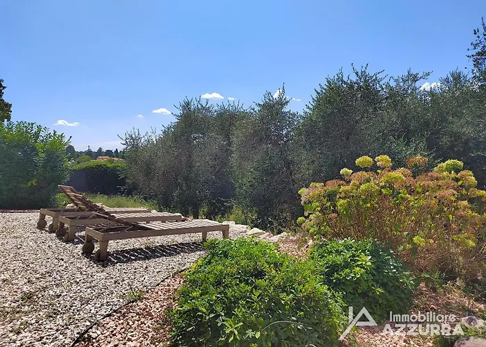 Olive Charme - Immobiliare Azzurra ברדולינו